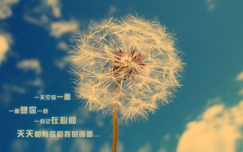 被分手了，如何讓對方比你更難受？